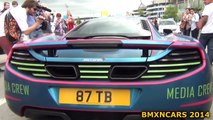 Shmee150 FANS GO CRAZY at Gumball 3000 2014