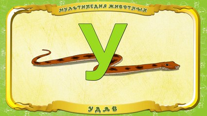 Мультипедия животных. Буква У Удав