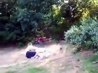 Дерутся как телки