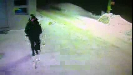 Не видел куда мои кошаки побежали