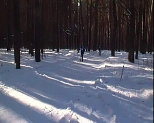 3 этап 2013 Кузнецк(Лыжные гонки)(4)