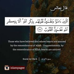 ماهر المعيقلي صوت رائع