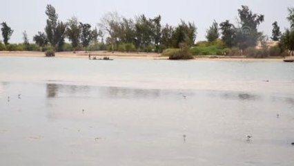 Senegal'in Sıra Dışı Adaları Joal ve Fadiouth