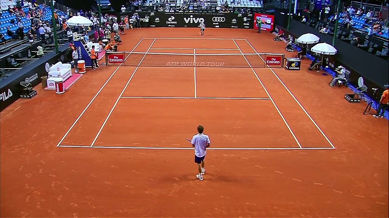 Des chiens ramasseurs de balles de tennis au brésil