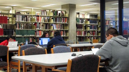 Gay Pornographic Material In The Library