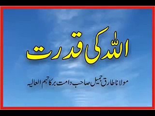 TARIQ JAMEEL Explain homosexuality in Islam
