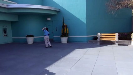 Br\'er Fox Plays Hide & Seek Behind a Small Tree at Disney\'s Hollywood Studios, Meet & Greet