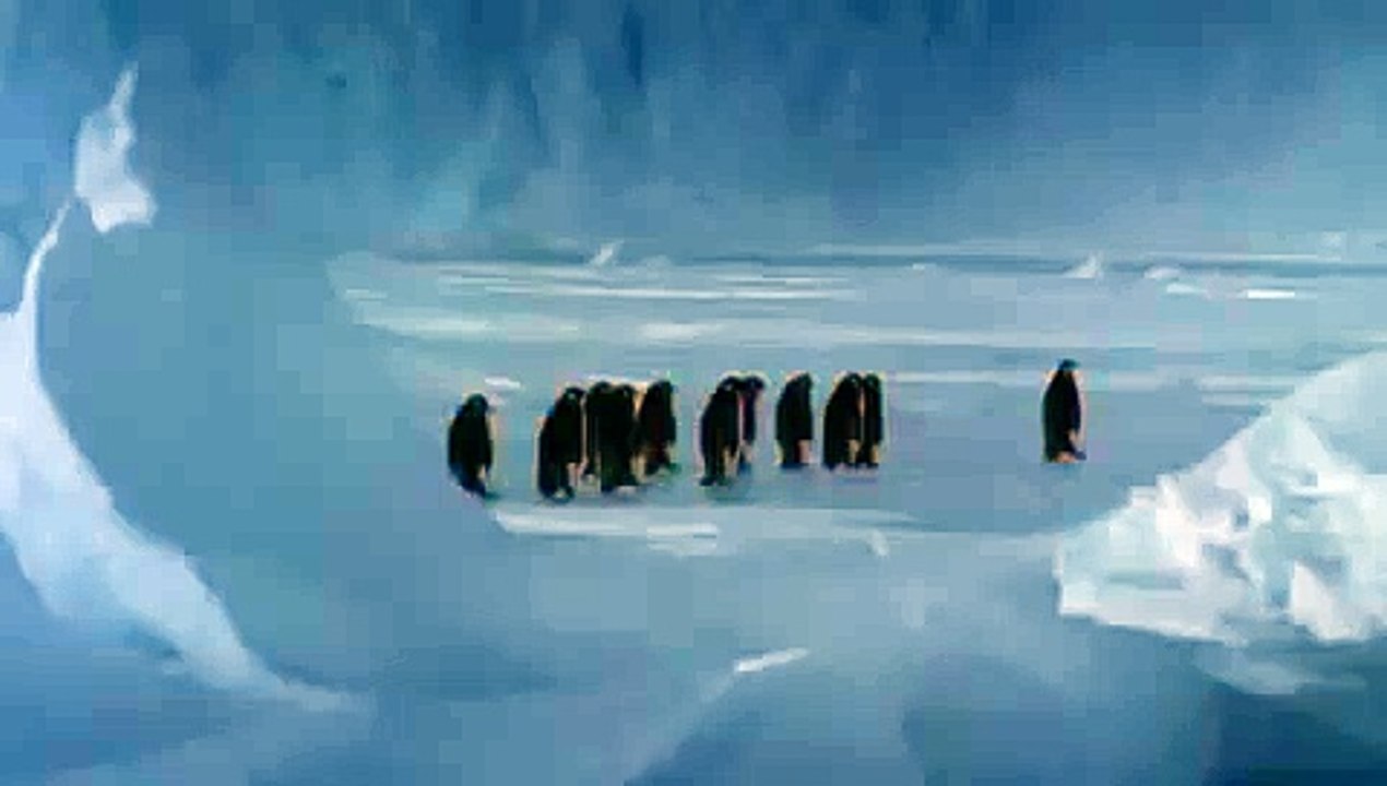 Penguin falls down