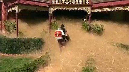 Australian town battles hairy panic