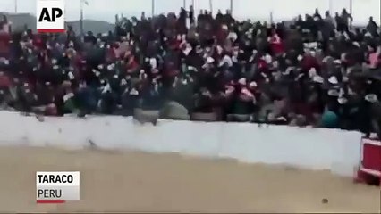 Bull Attack In Spain During A Festival