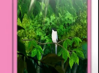 Promo Doraemon The Movie 14