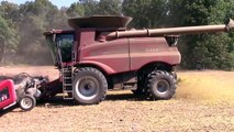 Case IH 8240 Combine Harvesting Soybeans