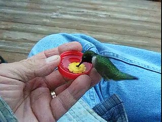 Dünya'nın en güzel videosu diyebilirim :)