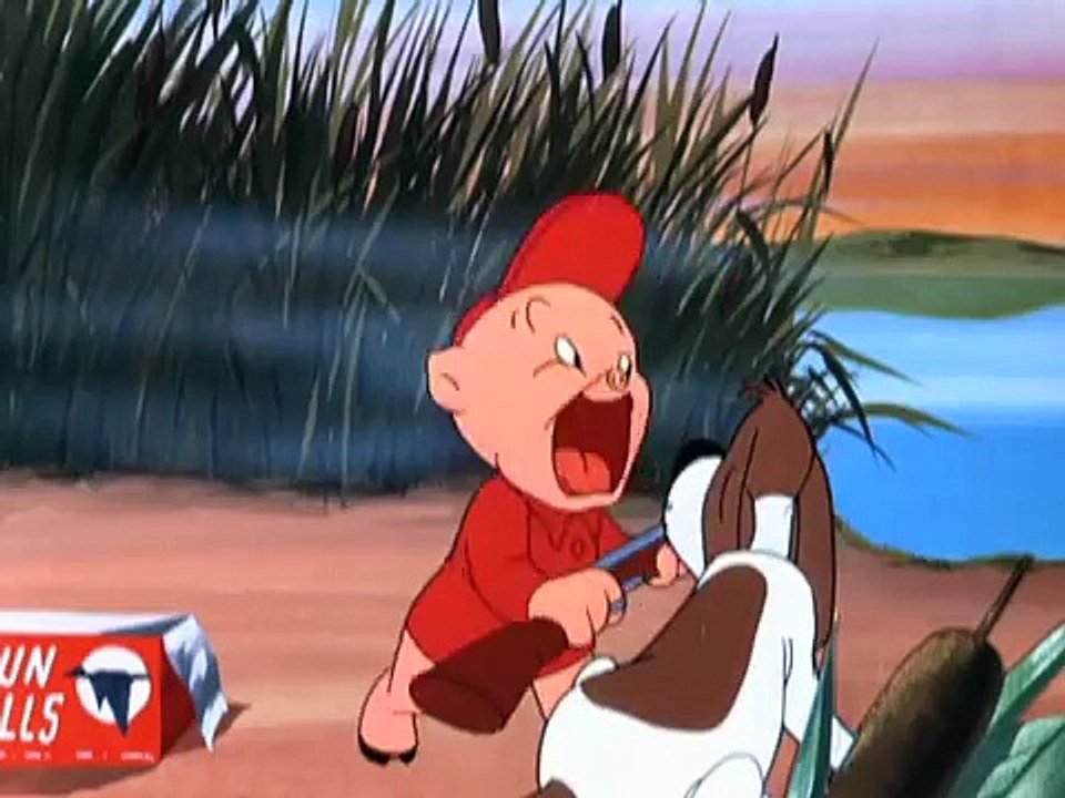 Looney Tunes: Daffy Duck Hunt