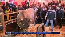 Salon de l'agriculture : une visite difficile pour François Hollande, hué par les éleveurs