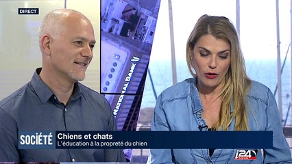 L'éducation à la propreté du chien