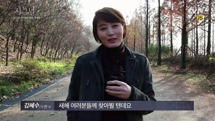 Signal [단독] 대한민국 최고 배우들의 2016년 새해인사 시그널! 160115 EP.1
