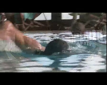 Гудаури 2013 - горнолыжная Грузия Ski and Snowboard Georgia