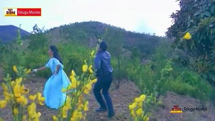 Goodachari No.1 Movie Telugu Video Song || Chiranjeevi, Radhika (Comic FULL HD 720P)