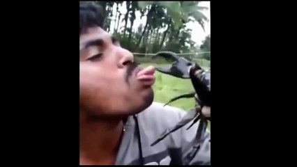 Жесть Краб схватил мужика за язык