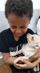 Köpek Sahiplenmeye Giden Çocuk Üzerine Çıkan Köpeğin Sevimliliğine Dayanamayıp Ağladı -