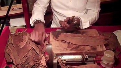 Küba Puroları Neden Mi Pahalı- İzleyin Görün! -