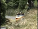 Rallye du pays viganais 2007