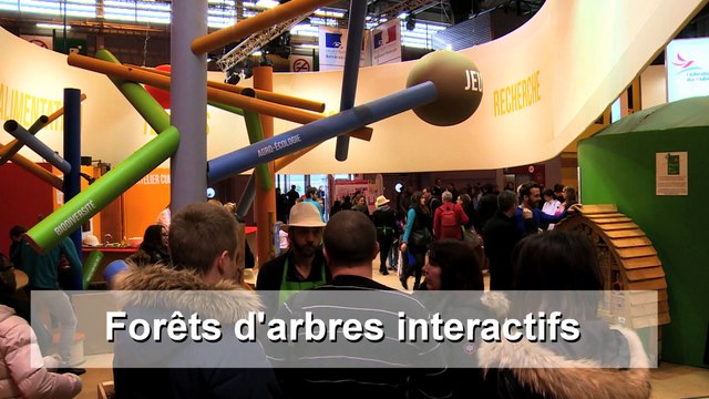 La foret d'arbres interactifs