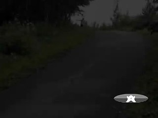 Летние сборы секции Лыжные гонки в деревне Мухино