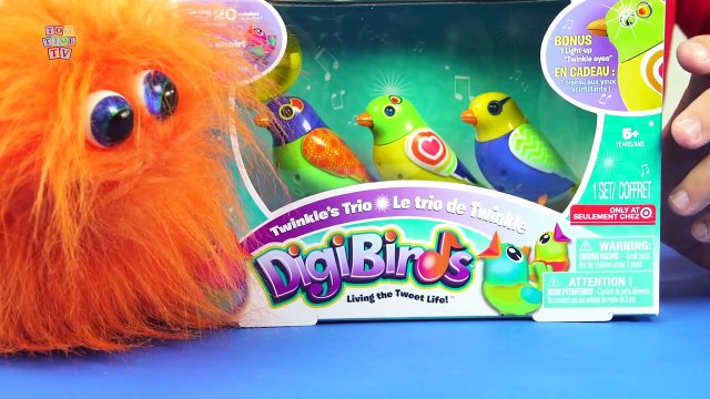 DigiBirds Twinkles Trio Living the Tweet Life Toy Review [Spin Master]