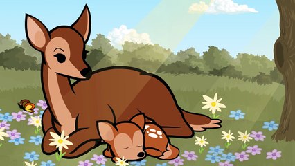 The Forest - Cyanide & Happiness Shorts