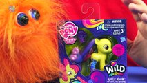 My Little Pony Friendship is Magic Apple Bloom Wild Rainbow Toy Review [Hasbro] [Hub Network]