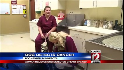 Woman believes dog detected breast cancer