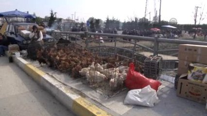 Kuş Pazarı" Yoğun İlgi Görüyor