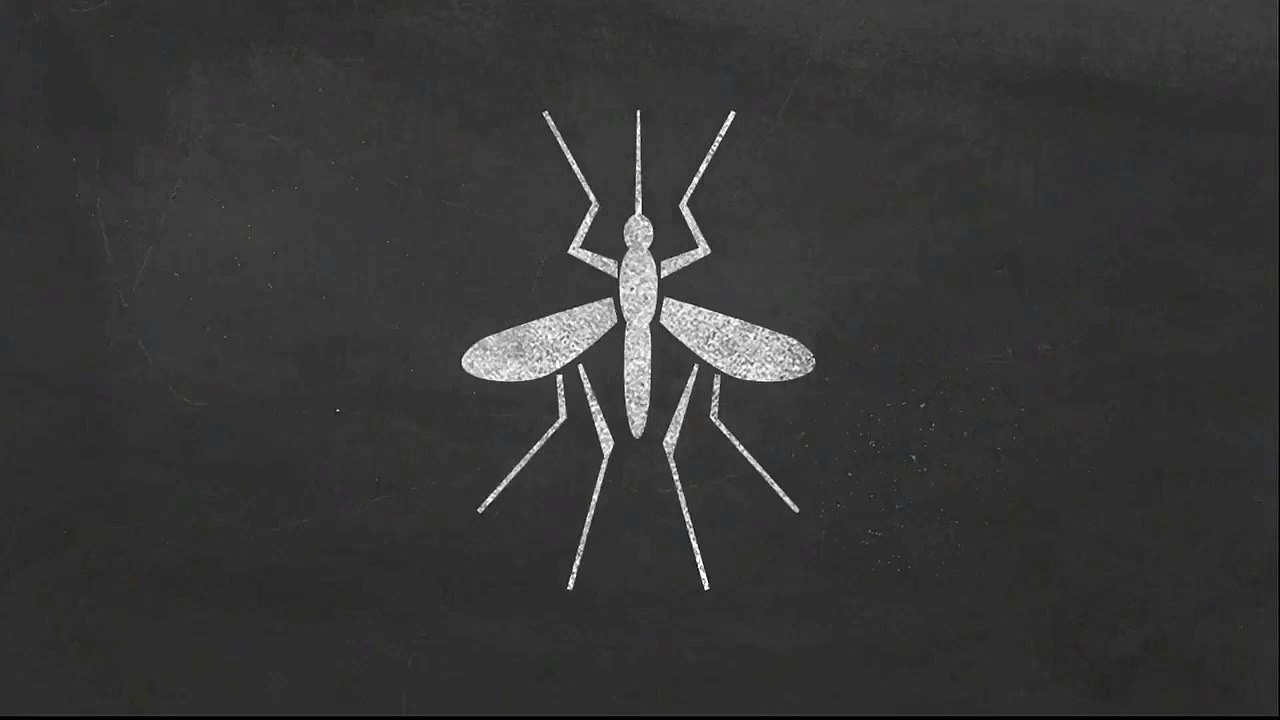 West Nile Virus Public Service Announcement "Prevention"