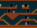 Nintendo Entertainment System The Bugs Bunny Crazy Castle USA