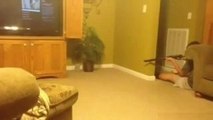 Man Tries To Shoot A Mouse In His House-Top Funny Videos-Top Prank Videos-Top Vines Videos-Viral Video-Funny Fails
