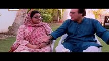 Bulbulay Episode 388 on Ary Digital