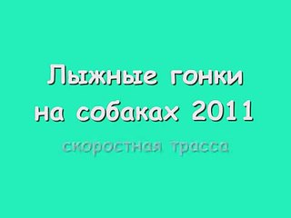 Лыжные гонки на собаках 2011. скоростная трасса