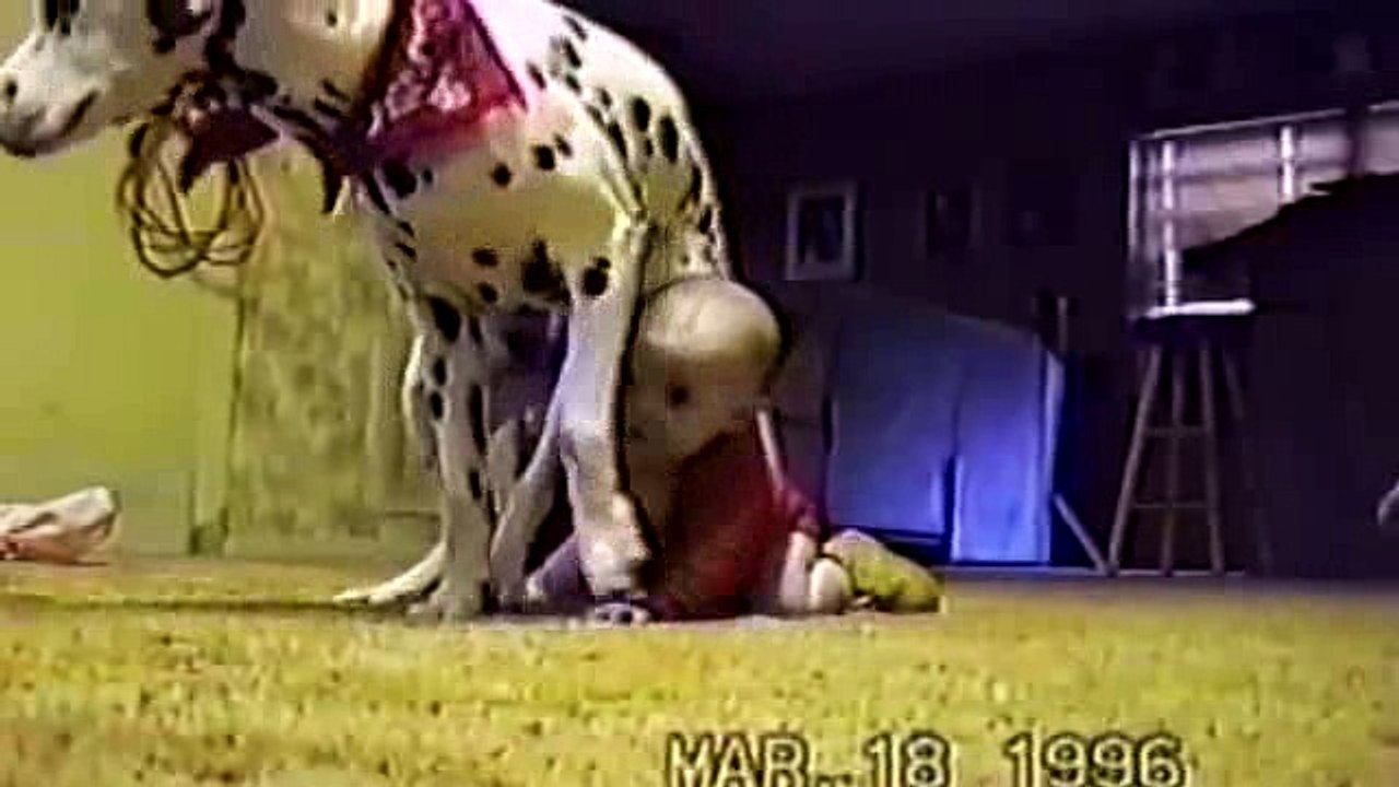 Cute Dogs And Adorable Babies- Compilation