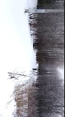 Лыжные гонки(13)