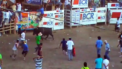 Dangerous Bull Fighting clip
