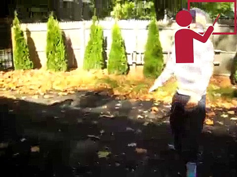 Funny Video: Slaps Only Rule Breaker