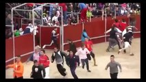 Bull Fighting with People - Bull Master