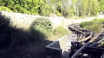 YTP: Mario, Sonic, The eds and the gang ride Expidition Everest