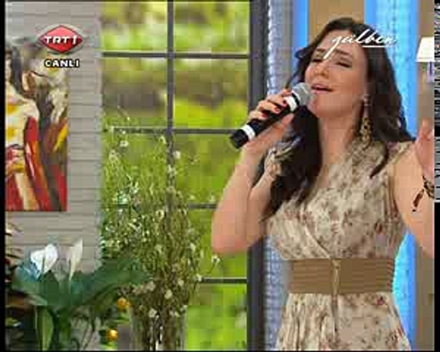 SEVCAN ORHAN DAĞLAR DAĞLAR DUMANLI DAĞLAR