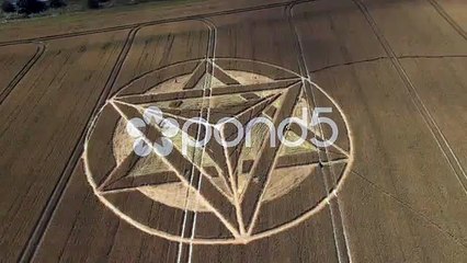 Crop Circle appeared 2012 in Wiltshire