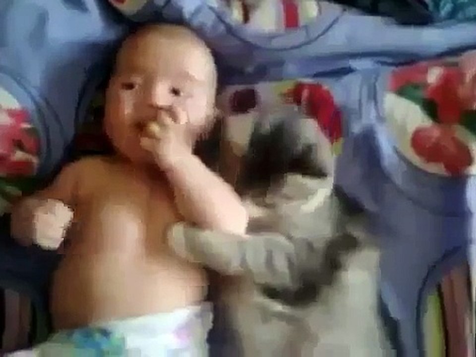 Funny Video Baby Clips Cute Cat Loves Baby From Funny And Cute Cats And Babies new 2016 funny videos latest funny videos upcoming funny videos new 2016 songs bollywood latest songs upcoming songs punjabi songs hit songs top