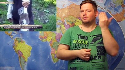 Полицейские в Рязани отпустили живодеров на свободу