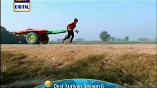 Desi Kuriyan Season 6 - ARY Digital